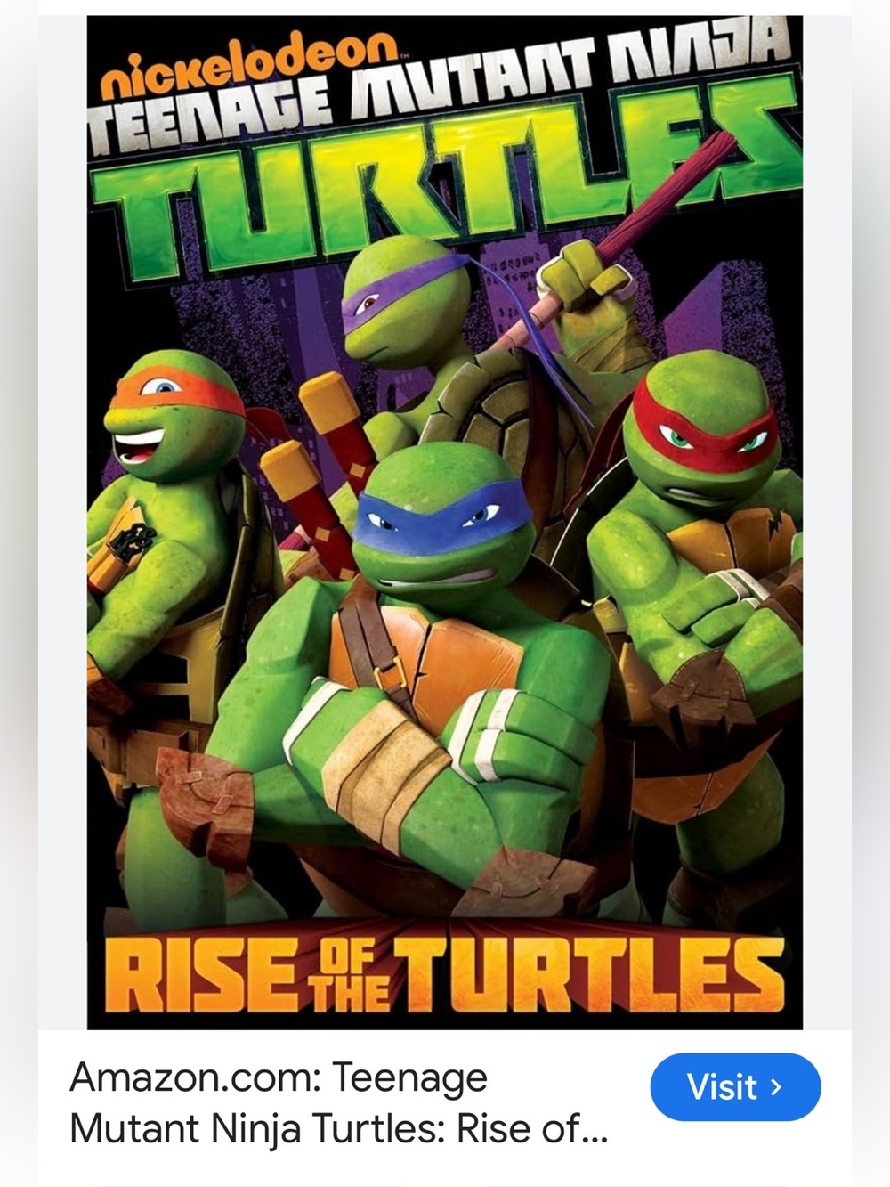 #2857**Nickelodeon Teenage Mutant Ninja Turtles Rise of the Turtles - Green